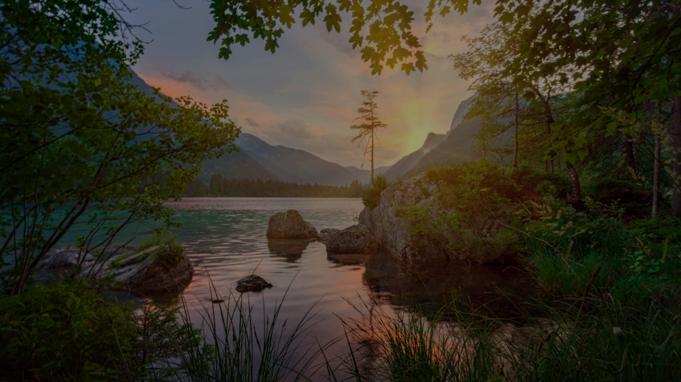 Why QuizBoost is Better Than Other Tools - Full Analysis